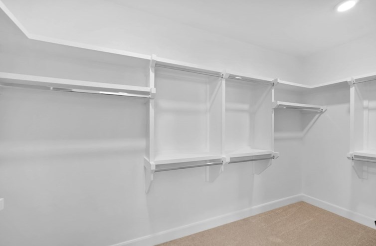 Wiltshire closet with carpet and hanging racks
