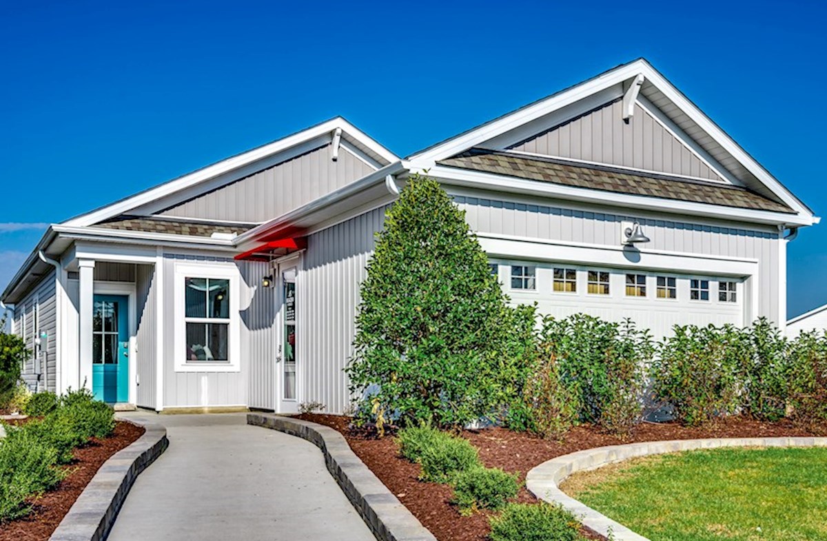 gray vinyl siding with white trim 