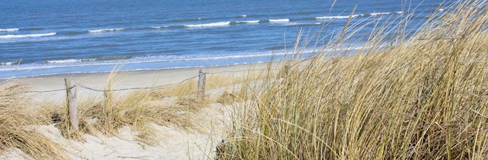 Delaware Beaches