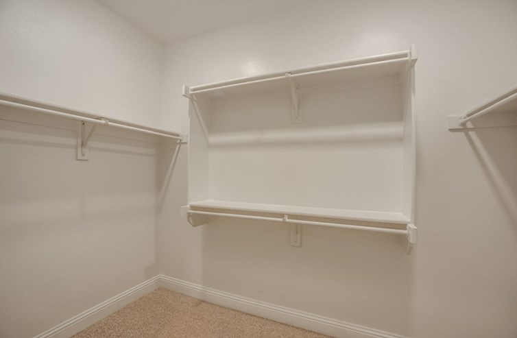 Dorset primary bedroom walk-in closet with white shelves and carpet